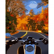 Картина по номерам Strateg ПРЕМИУМ  На мотоцикле осенью с лаком размером 30х40 см (SS6761)