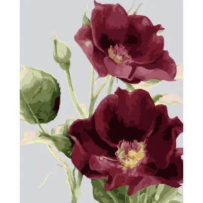 Картина за номерами Багряні маки 40х50 см SY6034