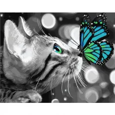 Картина за номерами Кошеня з метеликом 40х50 см SY6186