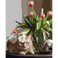 Картина за номерами Котик із тюльпанами 40х50 см SY6274
