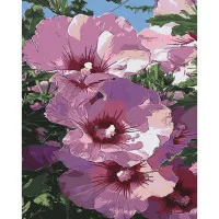 Картина за номерами Мальва 40х50 см SY6436