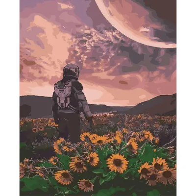 Картина по номерам Поле-космос 40х50 см SY6438