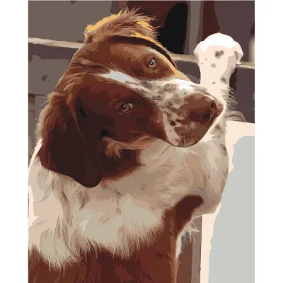 Картина по номерам Strateg Преданный взгляд на цветном фоне размером 40х50 см (SY6444) Картина по номерам Strateg Преданный взгляд на цветном фоне размером 40х50 см (SY6444)