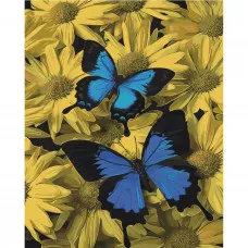 Картина по номерам Strateg Пара бабочек на цветном фоне размером 40х50 см (SY6460)