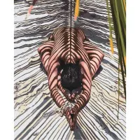 Картина по номерам Тело в тени 40х50 см SY6526