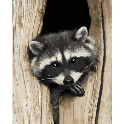 Картина по номерам Загадочный Енот 40х50 см VA-0249 Картина по номерам Загадочный Енот 40х50 см VA-0249
