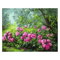 Картина за номерами Барвисті кущі півонії 40х50 см VA-0343