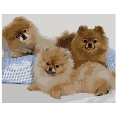 Картина за номерами Три шпиці 40х50 см VA-0513 Картина за номерами Три шпиці 40х50 см VA-0513