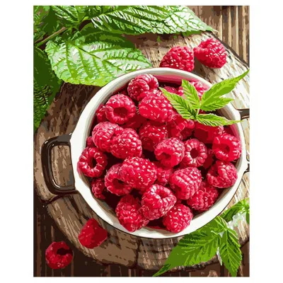 Картина по номерам Малина 40х50 см VA-1117 Картина по номерам Малина 40х50 см VA-1117