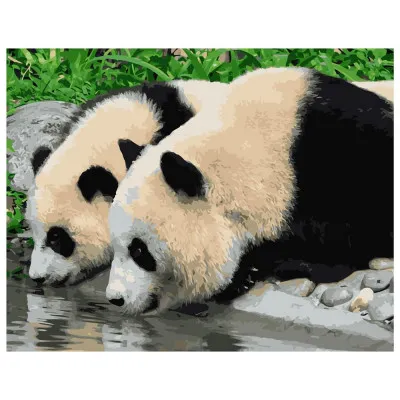 Картина за номерами Панди 40х50 см VA-2130 Картина за номерами Панди 40х50 см VA-2130