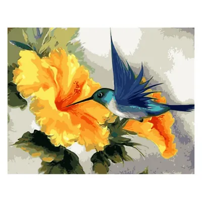 Картина по номерам Колибри 40х50 см VA-2146