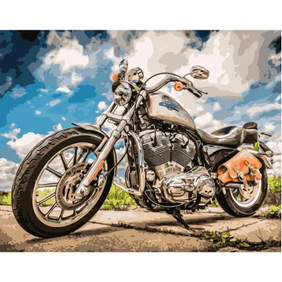 Картина по номерам Байк 40х50 см VA-2518