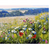 Картина по номерам Полевые цветы 2 40х50 см VA-2822