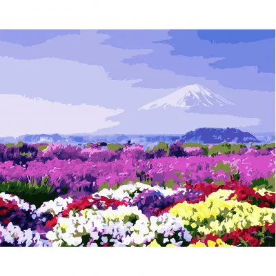 Картина за номерами Поле кольорових кольорів 40х50 см VA-2911