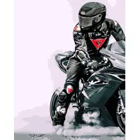 Мотоцикліст 40х50 см VA-3373.