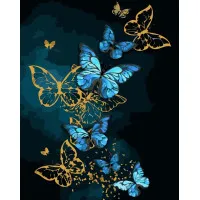 Картина за номерами Дивовижні метелики 40х50 см VA-3406