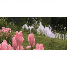 Картина по номерам Strateg ПРЕМИУМ Тюльпаны на берегу реки Strateg размером 50х25 см (WW042)